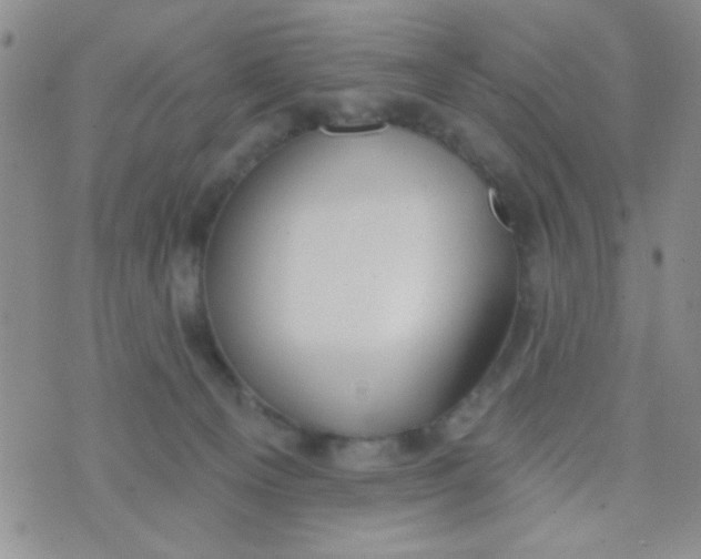 X0000074320129200609152041