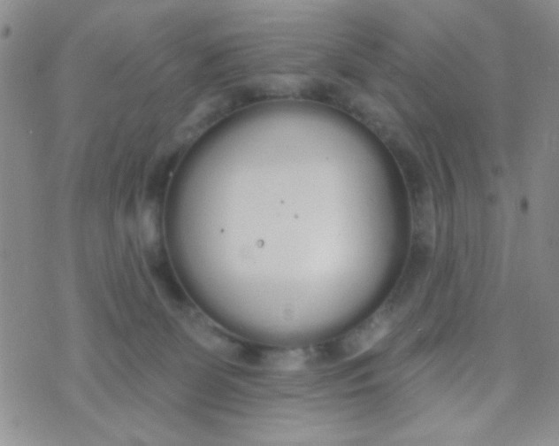 X0000074320131200609152041