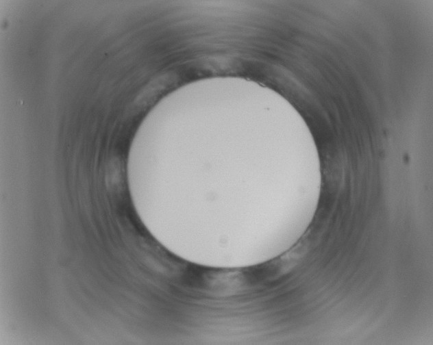 X0000074320132200609152041