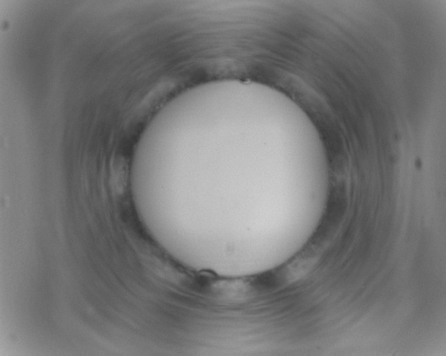 X0000074320133200609152041