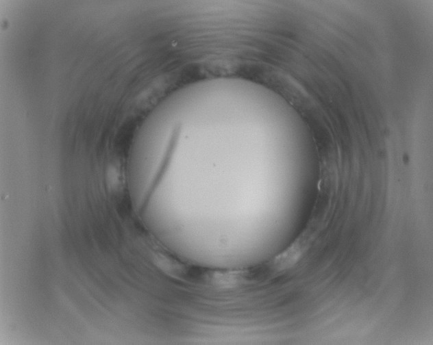 X0000074320134200609152041