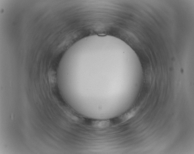 X0000074320135200609152041