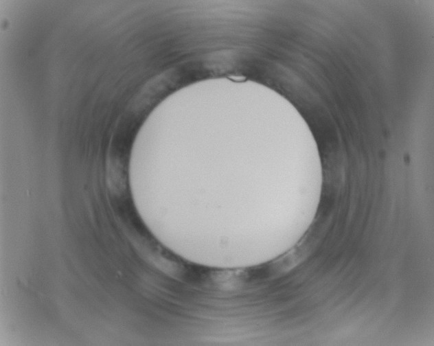 X0000074320136200609152041