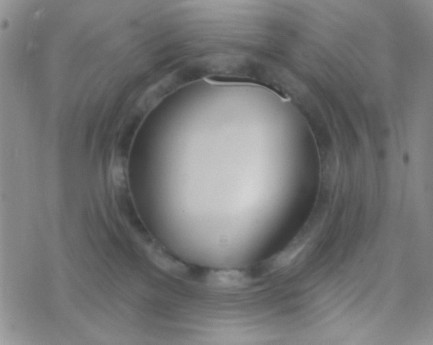 X0000074320137200609152041