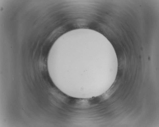 X0000074320140200609152041