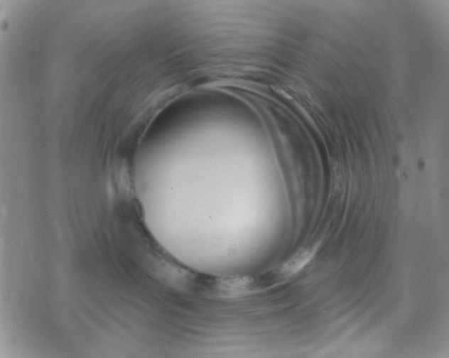 X0000074320143200609152041