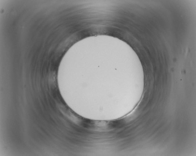 X0000074320144200609152041