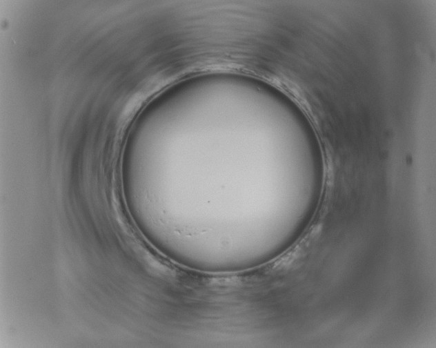 X0000074320145200609152040