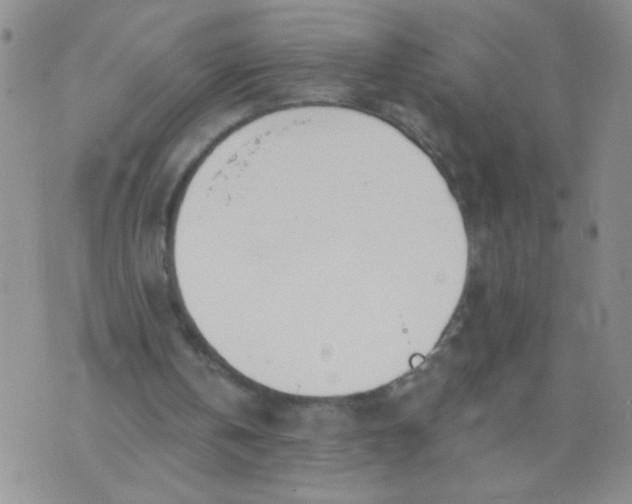 X0000074320146200609152040