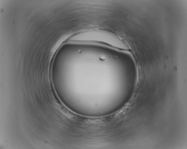 X0000074320147200609152040