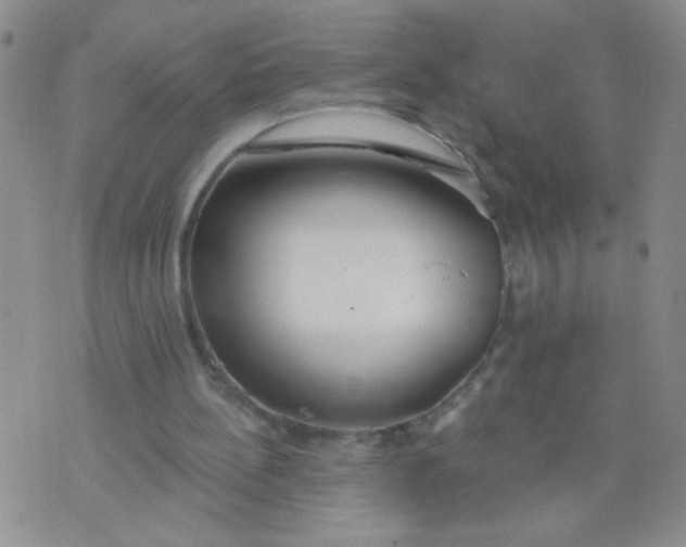 X0000074320148200609152040