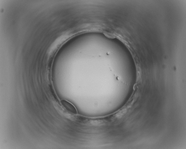 X0000074320149200609152040