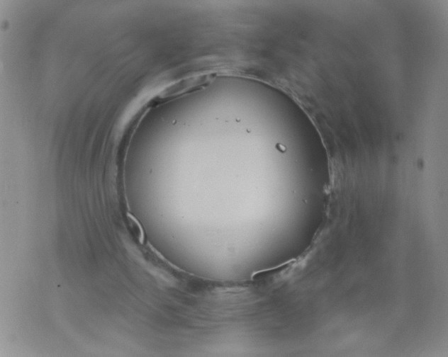 X0000074320150200609152040