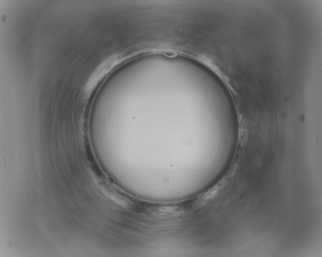 X0000074320151200609152040