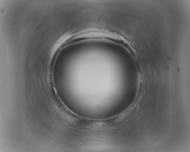 X0000074320152200609152040