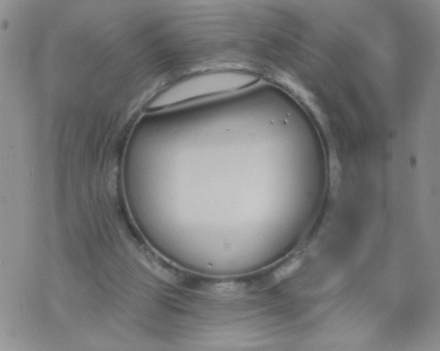 X0000074320153200609152041