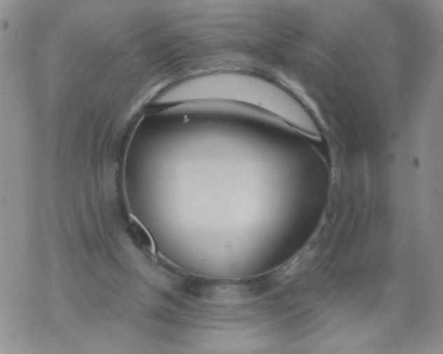 X0000074320154200609152041