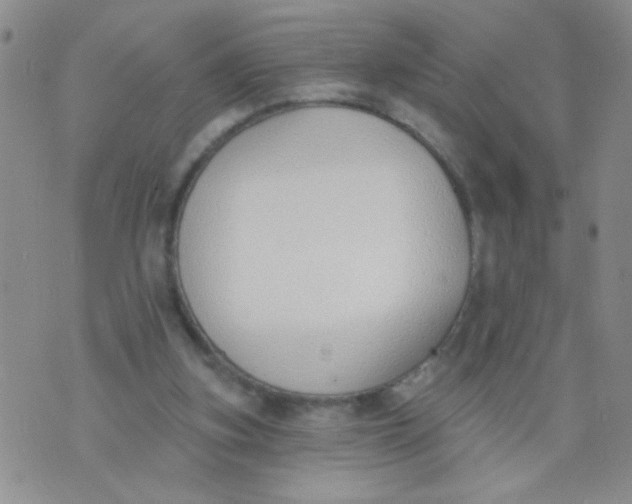 X0000074320155200609152041