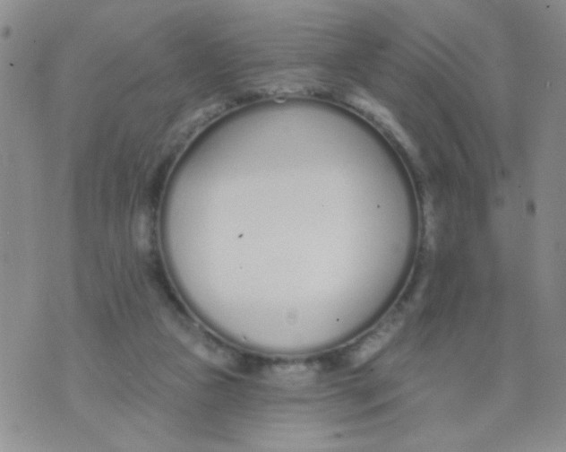 X0000074320161200609152041