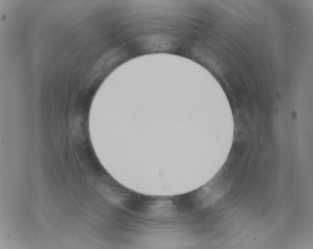 X0000074320162200609152041