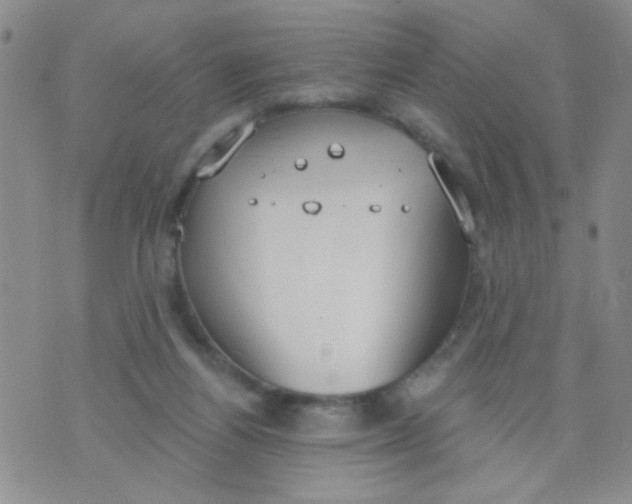 X0000074320164200609152041