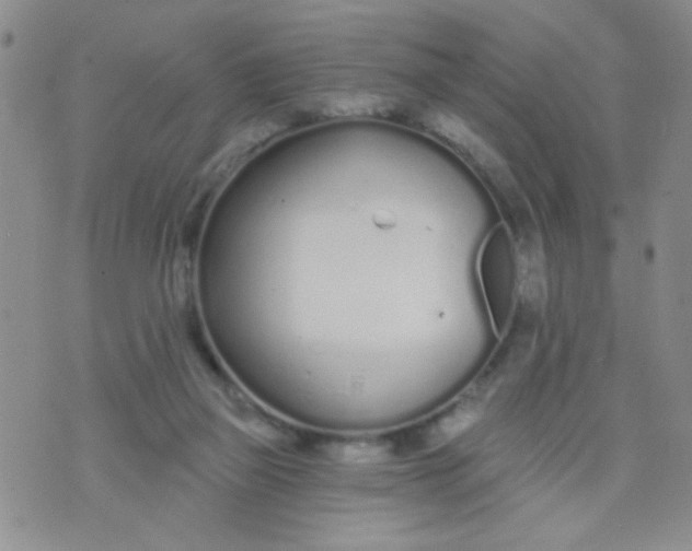 X0000074320165200609152041