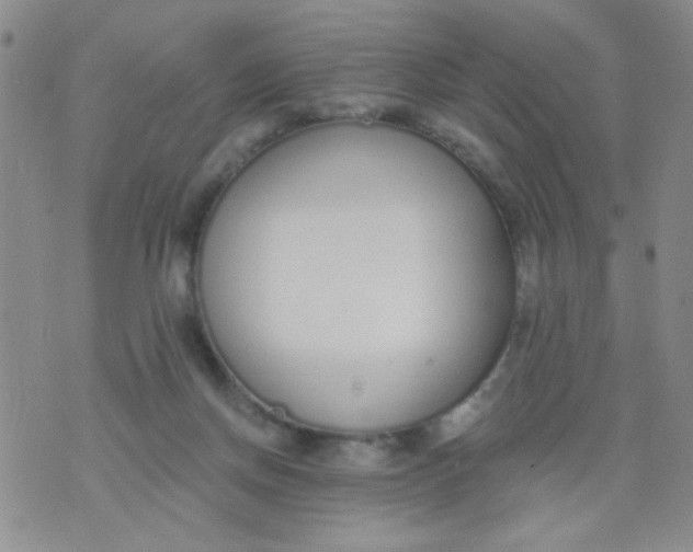 X0000074320166200609152041