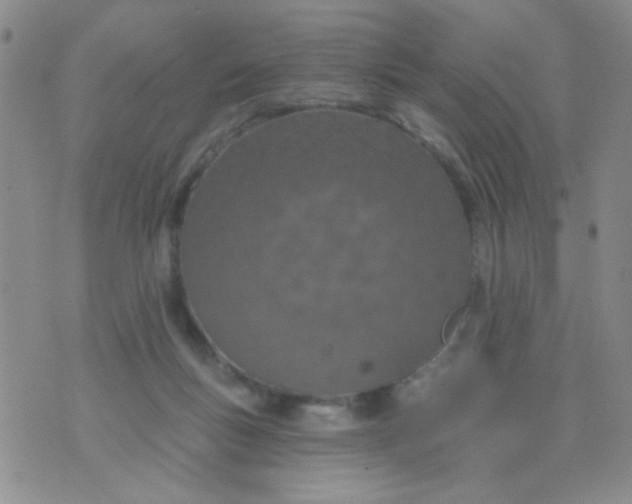 X0000074320167200609152041