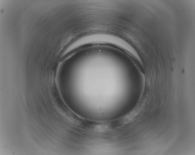 X0000074320168200609152041