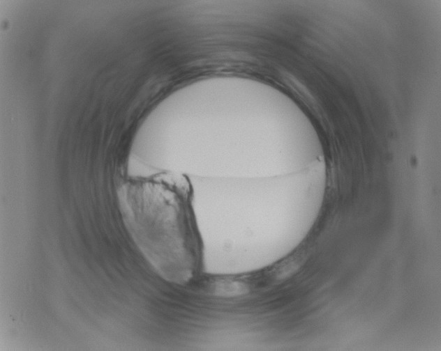 X0000074320169200609152041