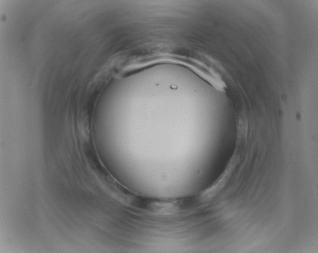 X0000074320170200609152041