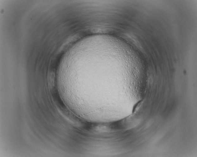 X0000074320171200609152041