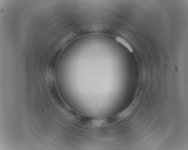 X0000074320172200609152041