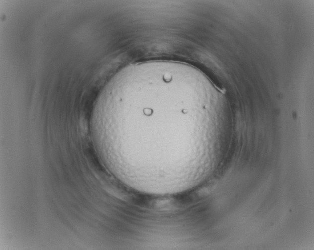 X0000074320173200609152041