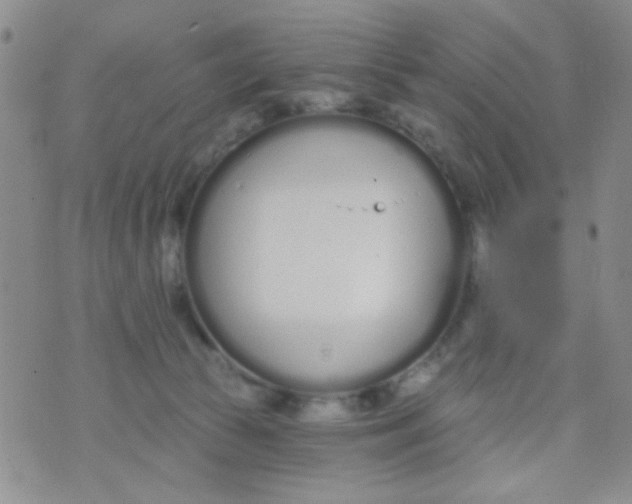 X0000074320177200609152041