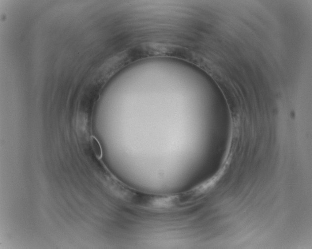 X0000074320178200609152041