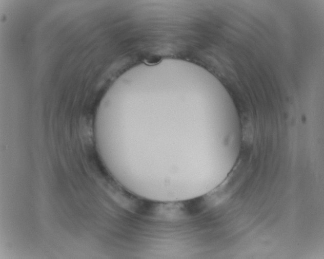 X0000074320179200609152041