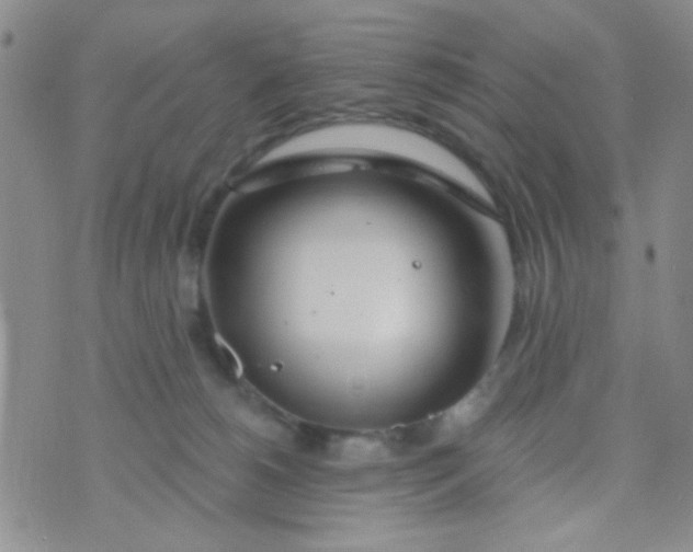 X0000074320180200609152041