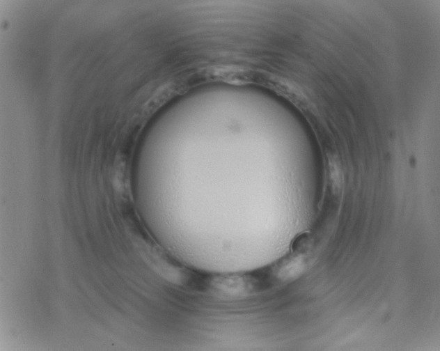 X0000074320181200609152041