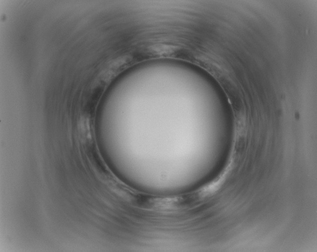 X0000074320182200609152041