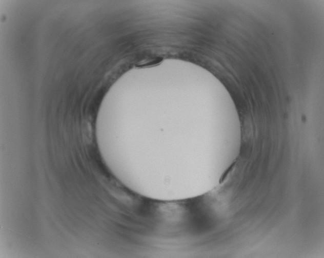 X0000074320183200609152041