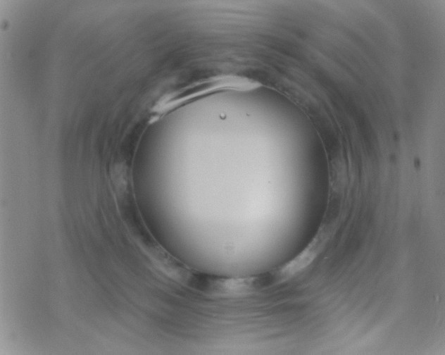 X0000074320184200609152041