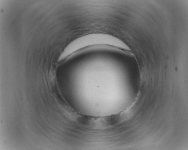 X0000074320186200609152041