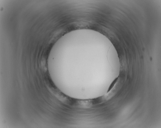 X0000074320187200609152041