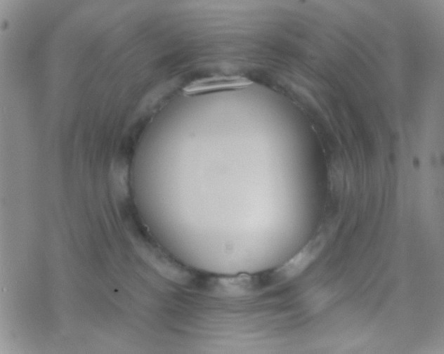 X0000074320188200609152041