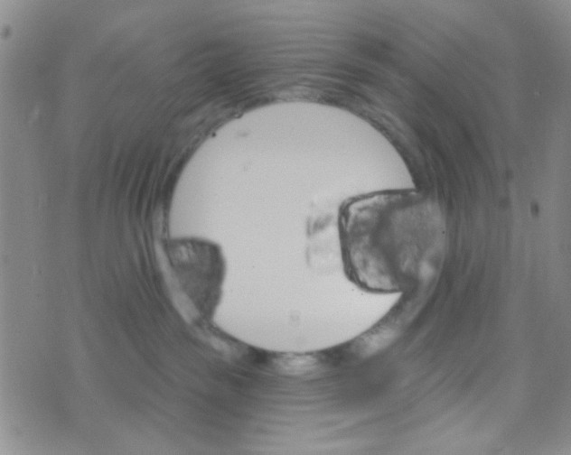 X0000074320189200609152041