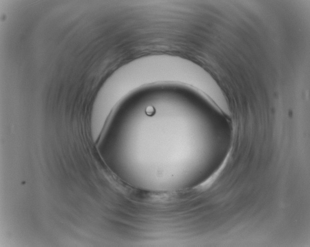 X0000074320190200609152041