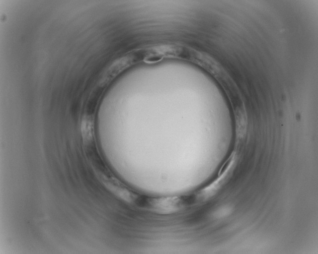 X0000074320191200609152041