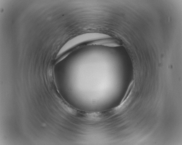 X0000074320192200609152041