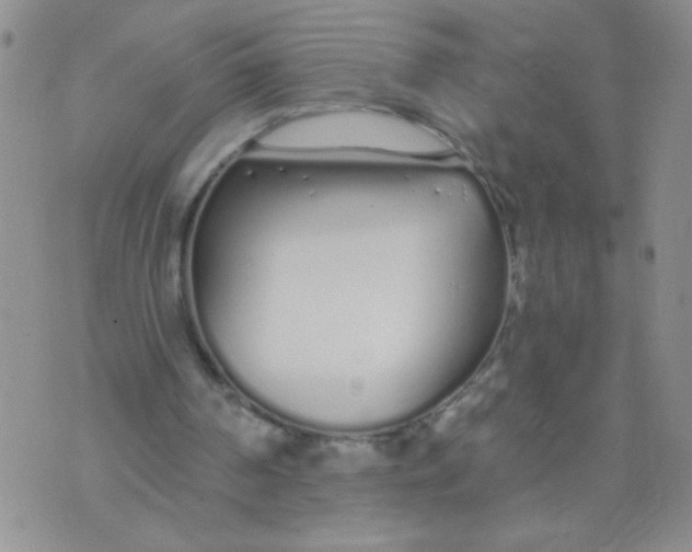 X0000074320194200609152040